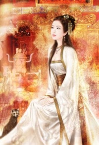 完美天神进化论