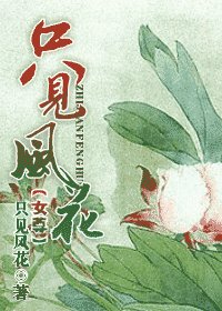 只见风花(女尊)